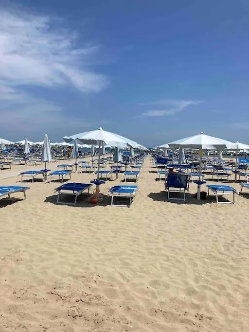 Grande E Luminoso Appartamento Lido di Classe 0*,